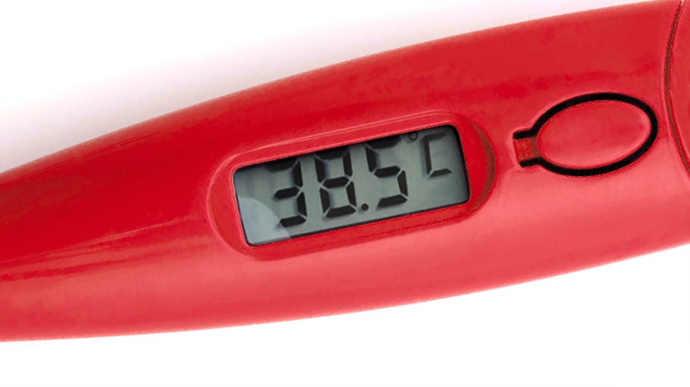 Digitales Thermometer Kelvin Digitales Thermometer Kelvin