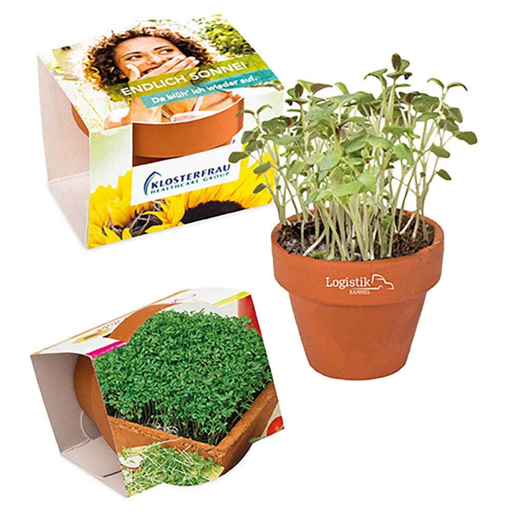 Logo-Töpfchen Komplettbanderole mit Samen - Gartenkresse Logo-Töpfchen Komplettbanderole mit Samen - Gartenkresse