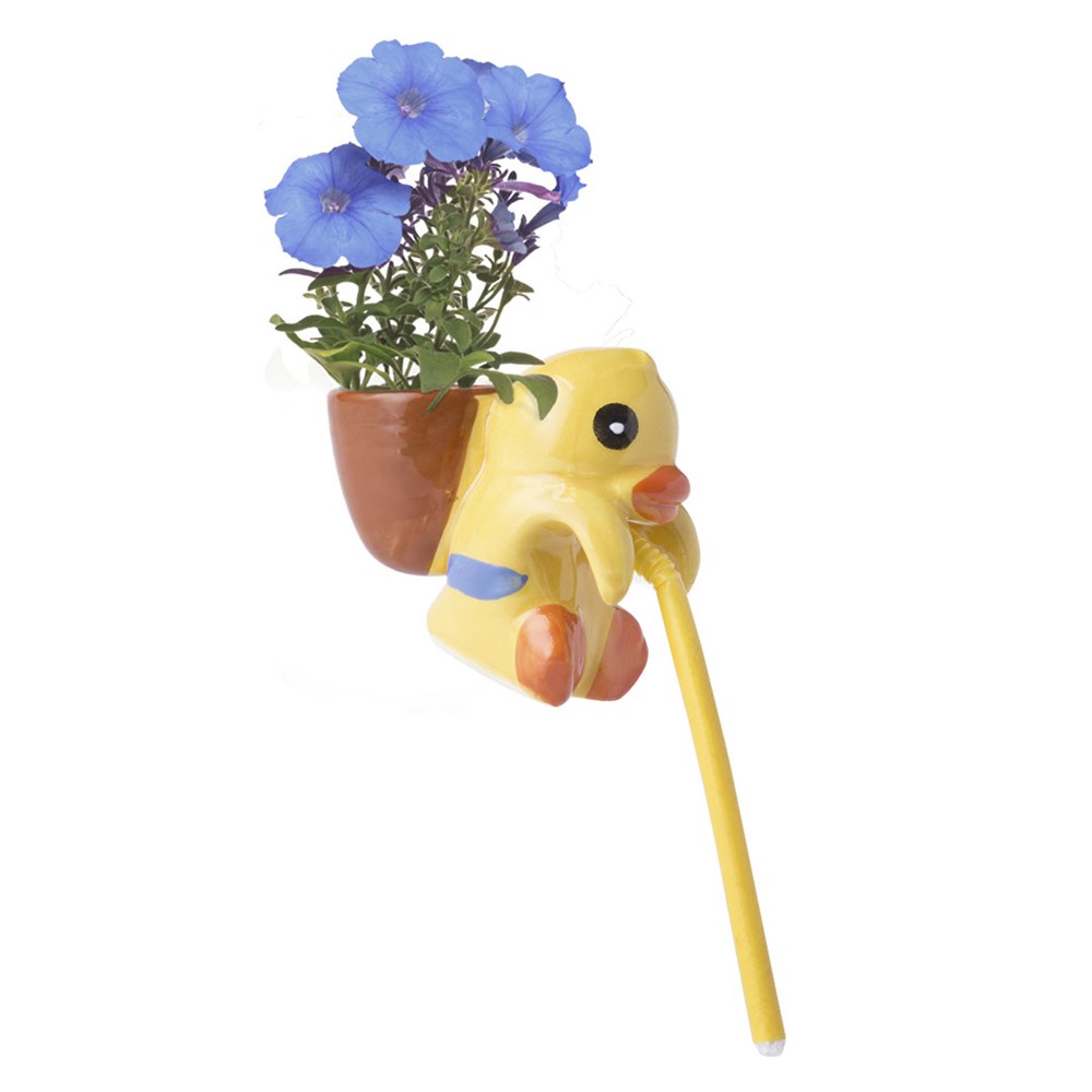 Blumentopf Chupon Blumentopf Chupon