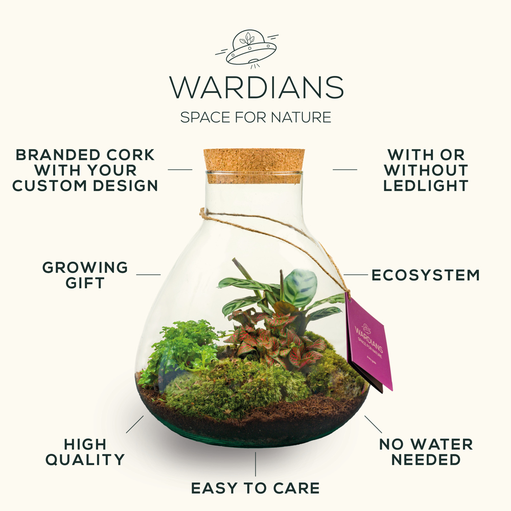 Wardians® Ecosystem - Sphere medium, Ohne Verpackung Wardians® Ecosystem - Sphere medium, Ohne Verpackung