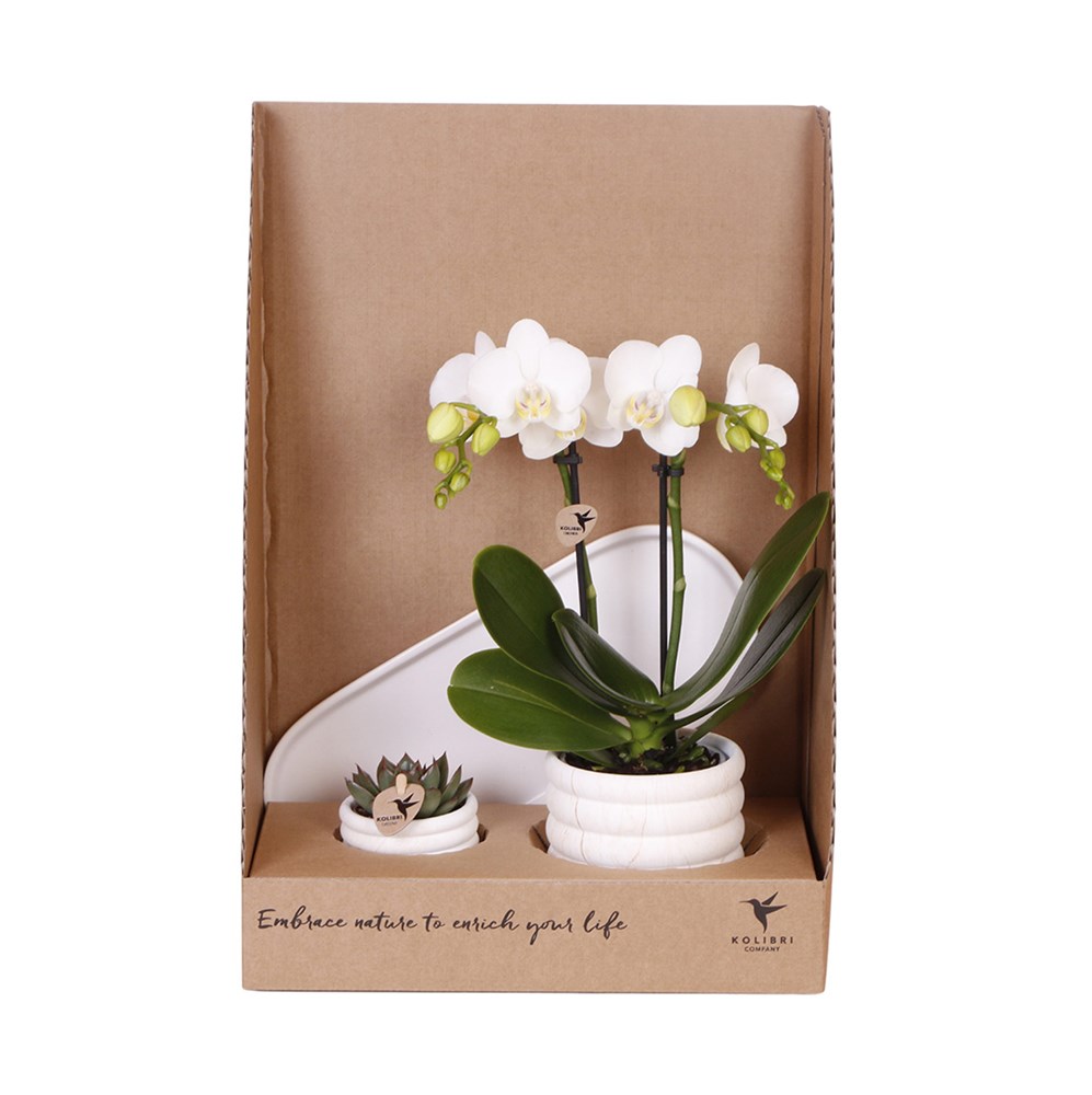 Botanical Giftset small - Serene Escape