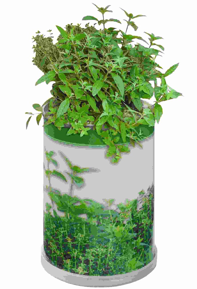 Blumendose Power Ø 65 x 90 mm, Kräutermischung Blumendose Power Ø 65 x 90 mm, Kräutermischung