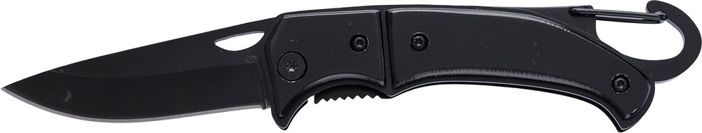 Taschenmesser aus Edelstahl Anne Taschenmesser aus Edelstahl Anne