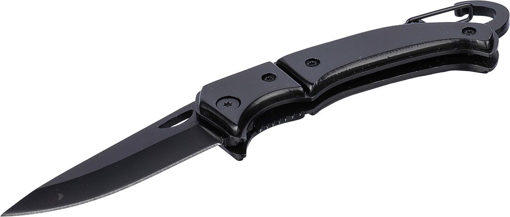 Taschenmesser aus Edelstahl Anne Taschenmesser aus Edelstahl Anne