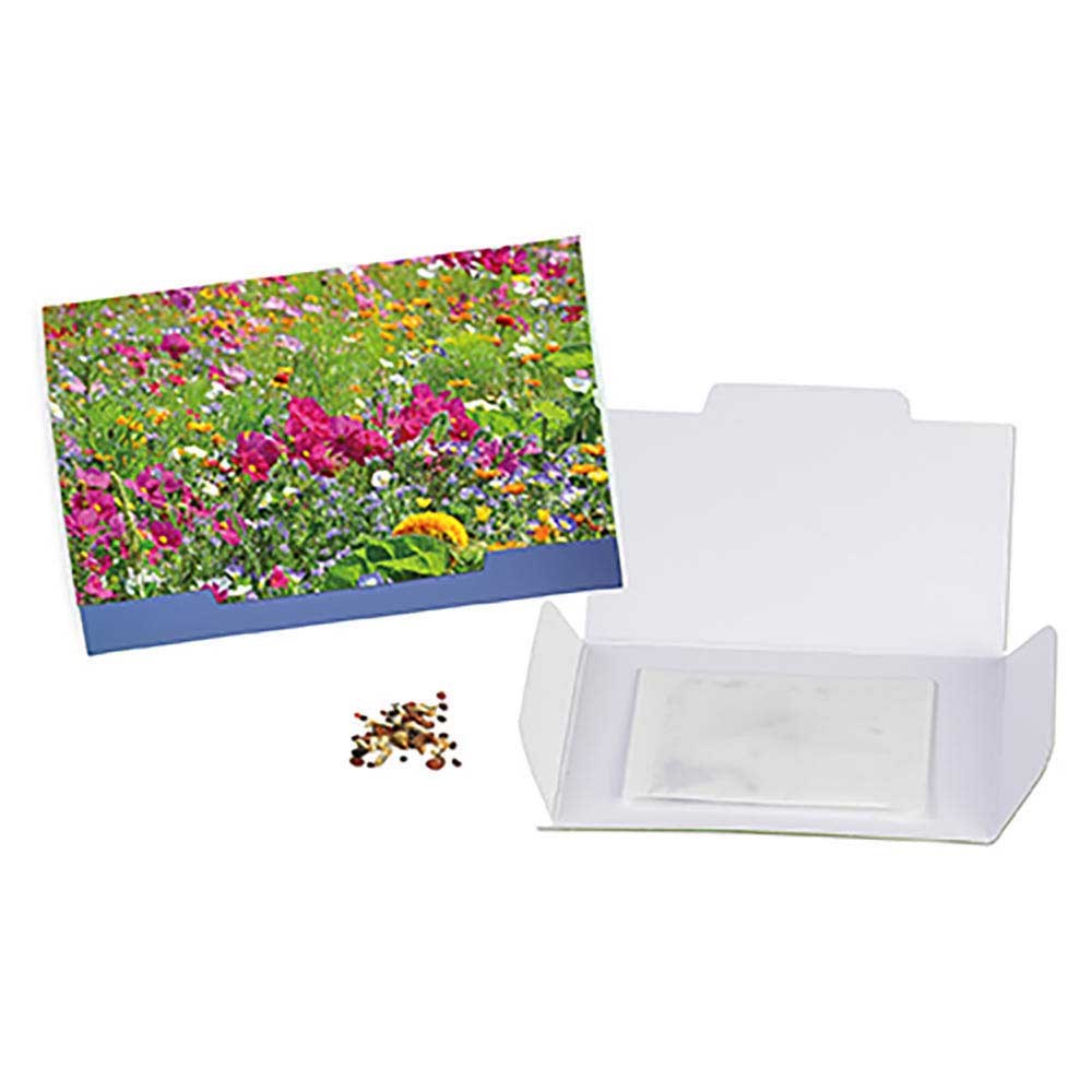 Flower-Card mit Samen - Sommerblumenmischung Flower-Card mit Samen - Sommerblumenmischung